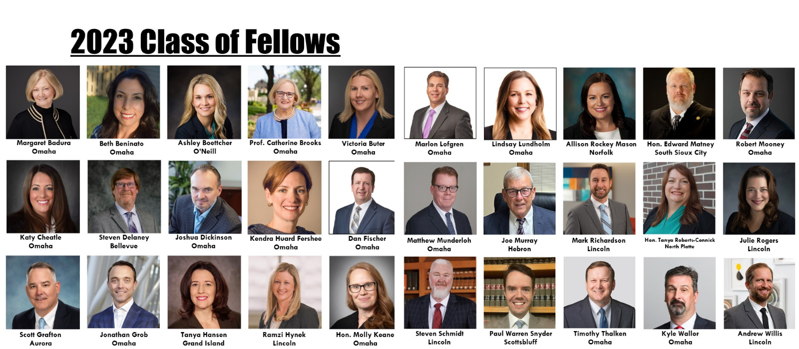 Congrats to the 2023 Class of Fellows!